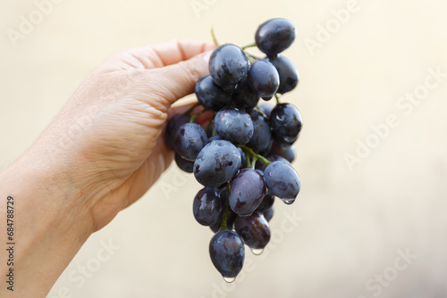 A bunch of blue grapes in the arm close