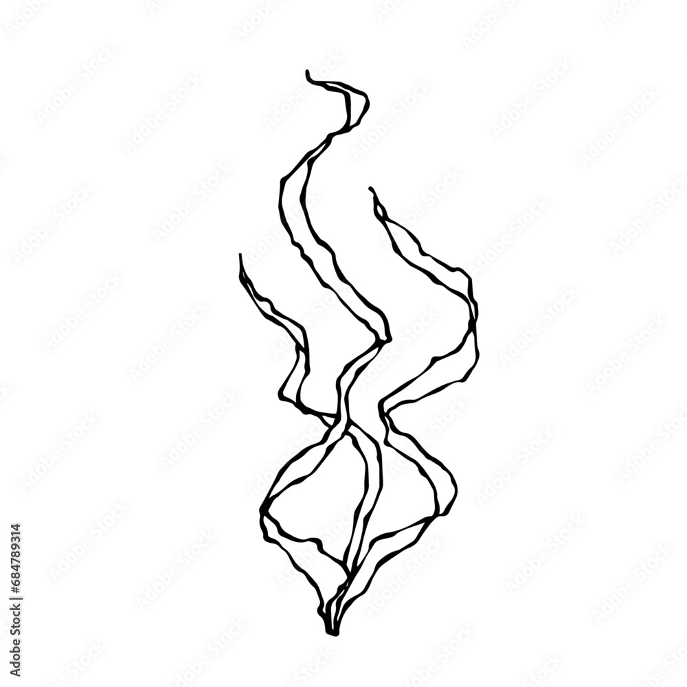 Sketch, doodle seaweed. Vector graphics. Sketch, doodle seaweed. Vector graphics.