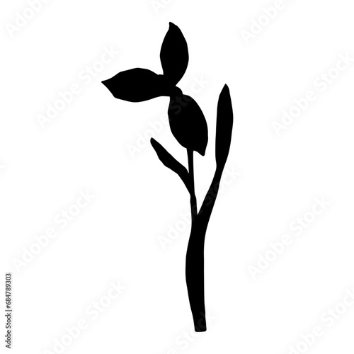 Silhouette of a spring snowdrop flower. Vector graphics.