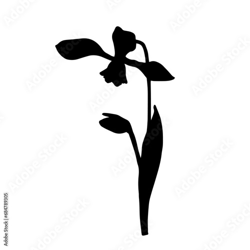 Silhouette of a spring snowdrop flower. Vector graphics.
