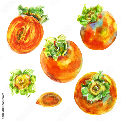 Hand drawn watercolor persimmon set, isolated on white background. Delicious fruit clip-art illustration. Realistic painting,would look great on fabric, kitchen towels or food packaging