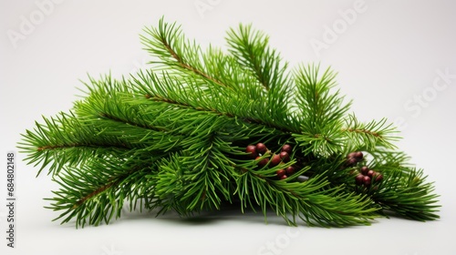  a close up of a pine tree branch with cones and berries on a white background with copy space for text.