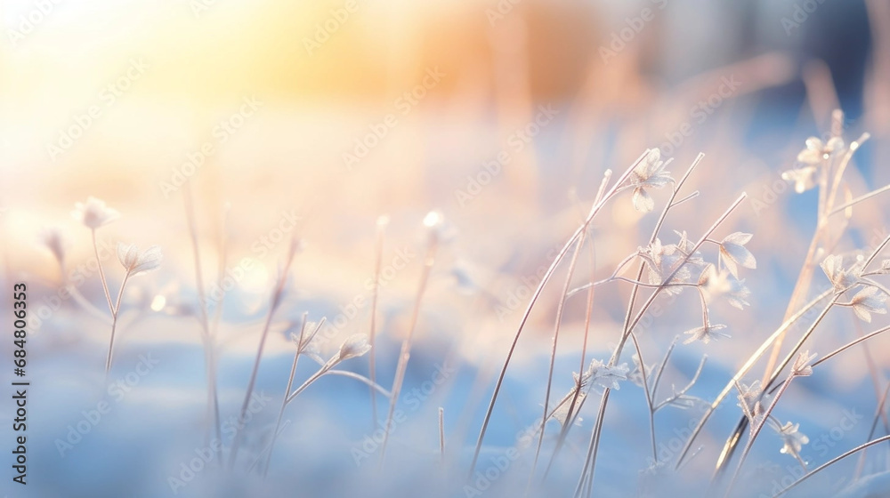 Copy space, stockphoto, Beautiful gentle winter landscape, frozen grass on snowy natural background. Winter background with flowers covered snow crystals glittering in sunlight. Defocused winter lands