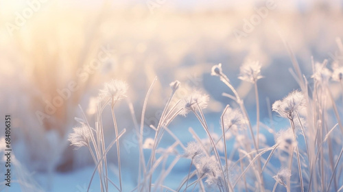 Copy space, stockphoto, Beautiful gentle winter landscape, frozen grass on snowy natural background. Winter background with flowers covered snow crystals glittering in sunlight. Defocused winter lands #684806351