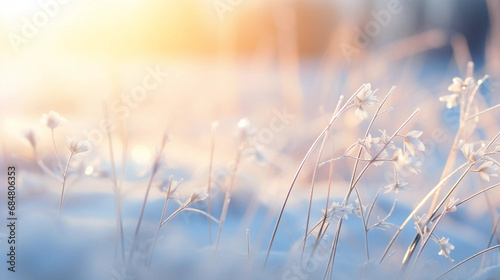 Copy space, stockphoto, Beautiful gentle winter landscape, frozen grass on snowy natural background. Winter background with flowers covered snow crystals glittering in sunlight. Defocused winter lands