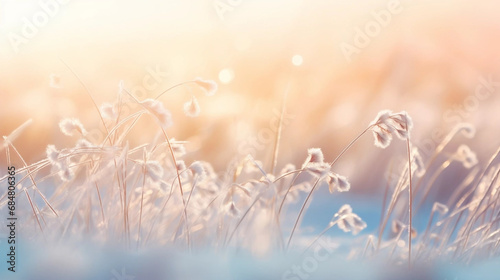 Copy space, stockphoto, Beautiful gentle winter landscape, frozen grass on snowy natural background. Winter background with flowers covered snow crystals glittering in sunlight. Defocused winter lands