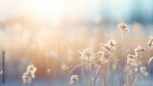 Copy space, stockphoto, Beautiful gentle winter landscape, frozen grass on snowy natural background. Winter background with flowers covered snow crystals glittering in sunlight. Defocused winter lands photo