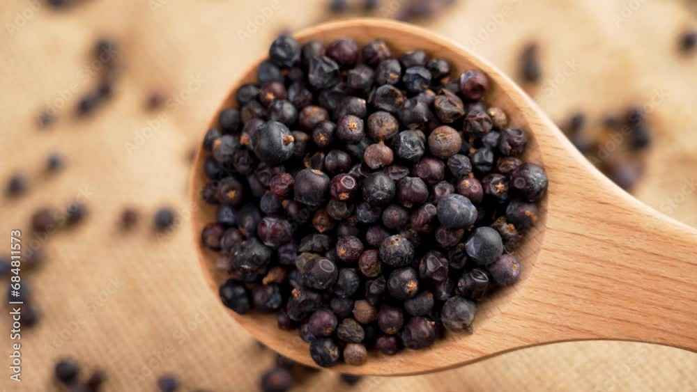 Wooden spoon with dried aromatic seeds of juniper plant. Traditional herb medicine ingredient Wooden spoon with dried aromatic seeds of juniper plant. Traditional herb medicine ingredient