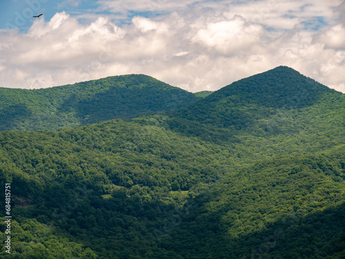 Smoky Mountains, Appalachian Mountains, Beautiful Landscape of Trees and Sky During Summer in the Eastern United States 07