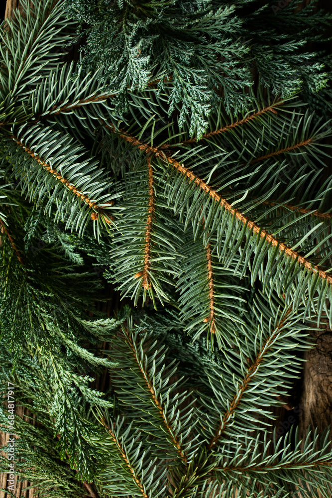 green fir branches for Christmas background green fir branches for Christmas background
