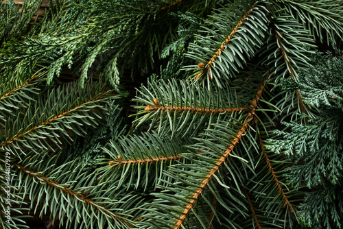 green fir branches for Christmas background