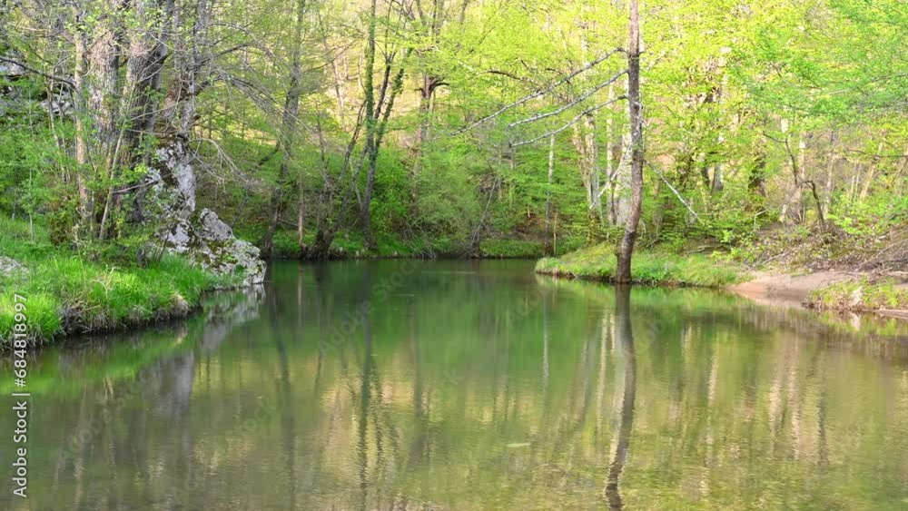 The stream in Igneada Floodplain Forests National Park