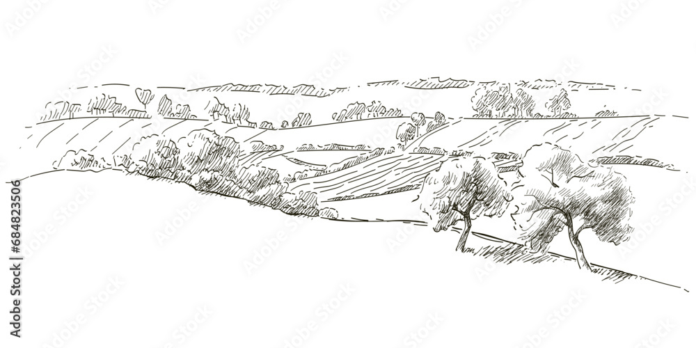 Green grass field on small hills. Meadow, alkali, lye, grassland, pommel, lea, pasturage, farm. Rural scenery landscape panorama of countryside pastures. Vector sketch illustration - obrazy, fototapety, plakaty 