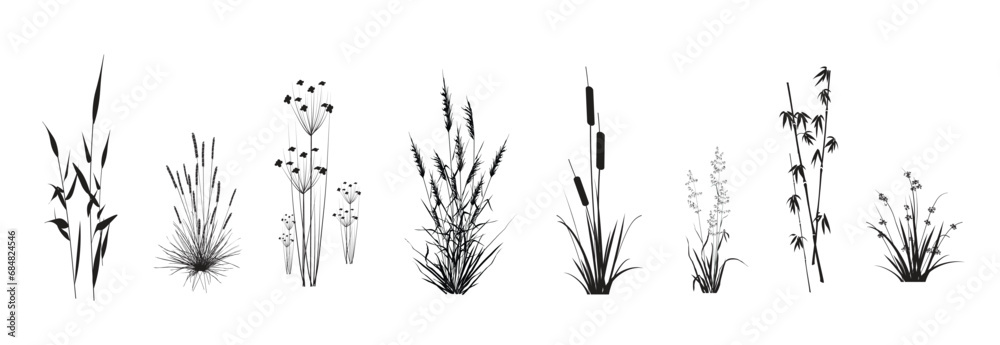 Cattail, reeds, cane, bamboo, butomus, sedge, rushwort, marsh bluegrass and other swamp grass, isolated on a white background. Marsh (pond, river) coastal plants vector silhouette drawings set. - obrazy, fototapety, plakaty 