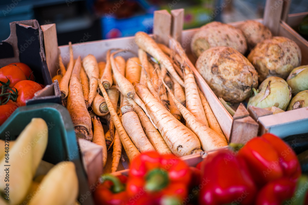 Parsley or parsnip root vegetable ready for market sale. There are also peppers, tomatoes and kohlrabi in the area.