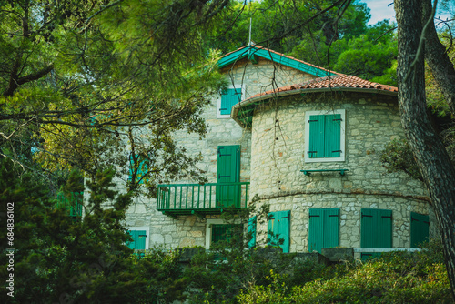 Lonely weekend house hiding between the trees close to nice Zabodarski beach. House with green window blinds hiding between the grass and trees © Anze