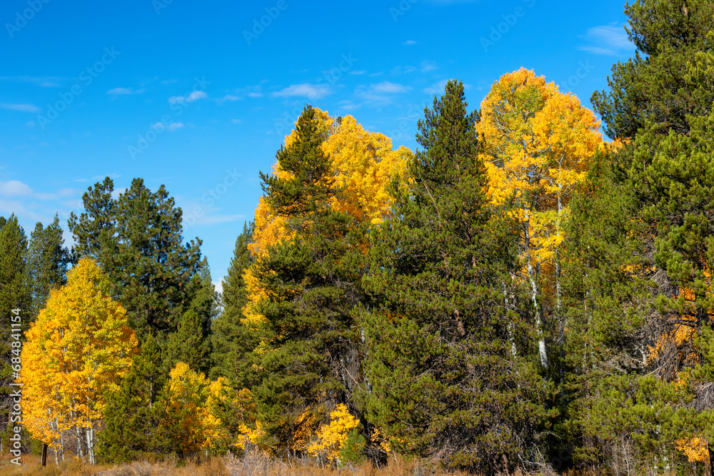 Scenery in Rural Klamath County in rural, Oregon, USA Scenery in Rural Klamath County in rural, Oregon, USA