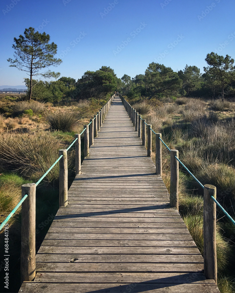 Fototapeta premium Wooden path in the dunes near Esposende, Portugal, December 2017