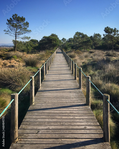 Wooden path in the dunes near Esposende  Portugal  December 2017