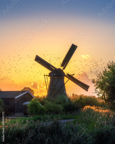 Windmill with flying birds around