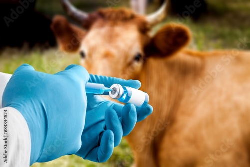 Canvastavla Veterinarian inoculates a cow