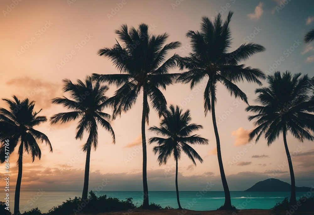 Several Caribbean palm trees