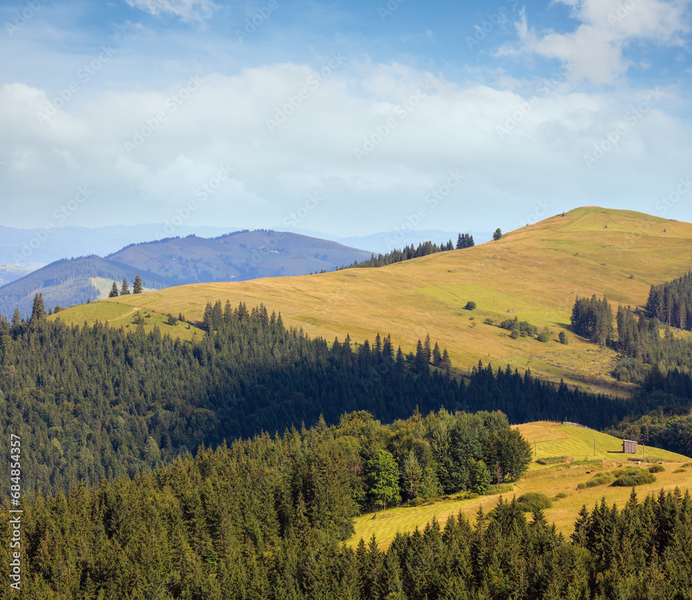 Summer mountain view (Carpathian, Ukraine). Summer mountain view (Carpathian, Ukraine).