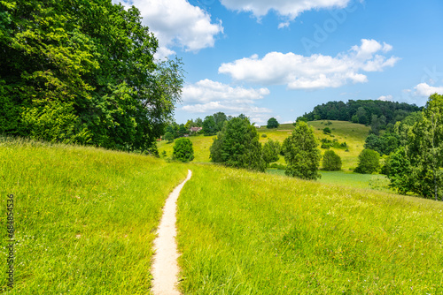 Fototapeta Naklejka Na Ścianę i Meble -  Narrow rural pathway in hilly landscape with lush green meadows on sunny summer day.