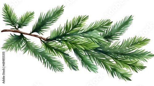Watercolor Christmas tree branch isolated on white background. Hand drawn illustration. Generative AI