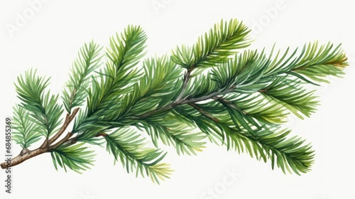 Pine branch. Watercolor illustration. Isolated on white background. Generative AI