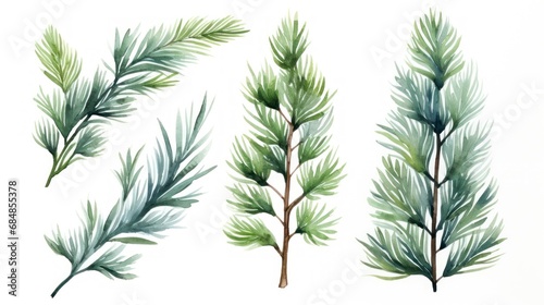 Watercolor spruce branches isolated on white background. Hand drawn illustration. Generative AI