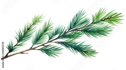 Pine branch isolated on white background. Watercolor hand drawn illustration Generative AI