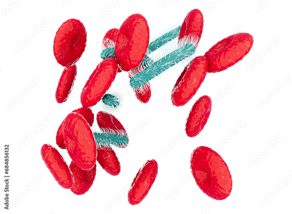 Blood flow, vein and red blood cells and presence of sepsis. It is a potentially life-threatening condition caused by the body's response to an infection. 3d rendering Blood flow, vein and red blood cells and presence of sepsis. It is a potentially life-threatening condition caused by the body's response to an infection. 3d rendering