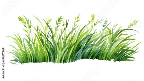 Watercolor green grass on a white background. Hand-drawn illustration Generative AI