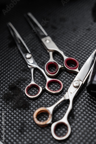 Tools of the master groomer after cutting animals.