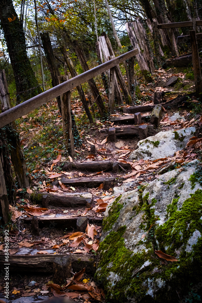 Wooden stairs in Zugarramurdi forest.