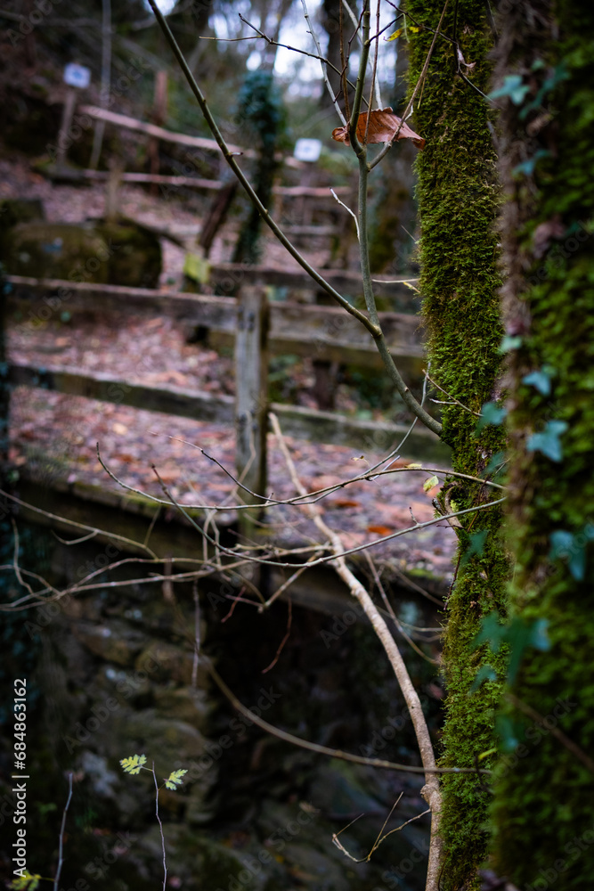 Autumnal woodland bridge in Zugarramurdi, Spain. Autumnal woodland bridge in Zugarramurdi, Spain.