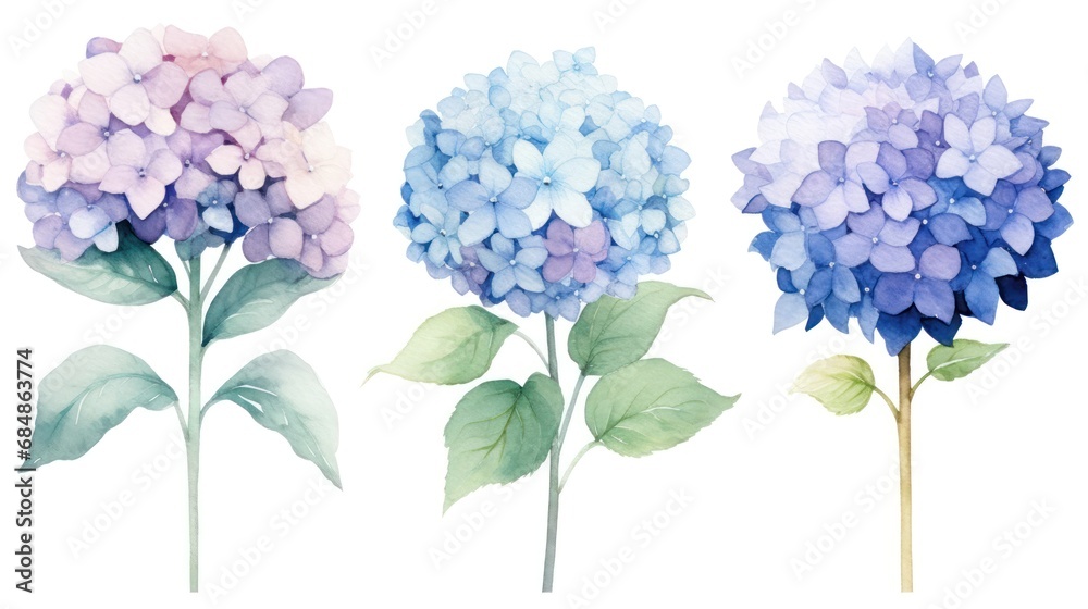Set of Three Soft Watercolor Hydrangea Cluster Pet AI Generated