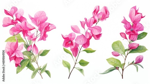 Set of Three Expressive Watercolor Bougainvillea Flowers AI Generated