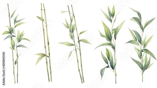 Set of Three Botanical Watercolor Bamboo Stalk Leaf AI Generated © Alex