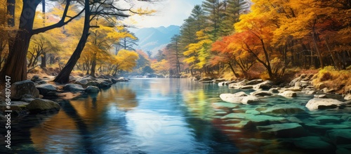 In awe of the colorful beauty of Japan's autumn landscape, a traveler immersed themselves in the vibrant hues of yellow trees, captivating flower-filled forests, and picturesque mountains during their