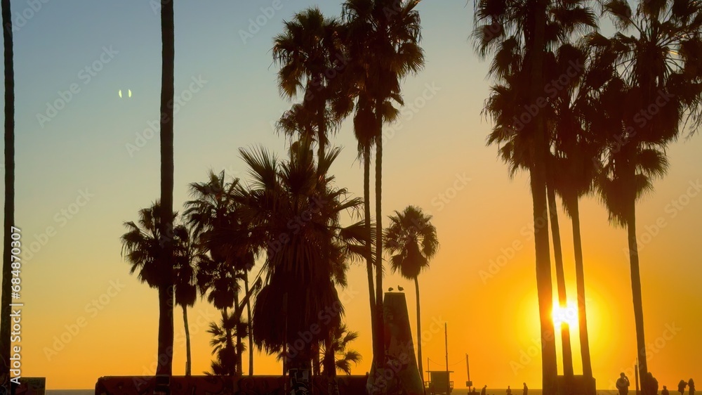 Sunset between Palm Trees at Venice Beach California - travel photography Sunset between Palm Trees at Venice Beach California - travel photography