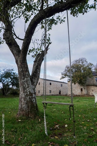 Columpio de madera colgando de un árbol 