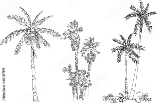 Wallpaper Mural vector illustration sketch of palm tree architectural details to complete the scenic image Torontodigital.ca