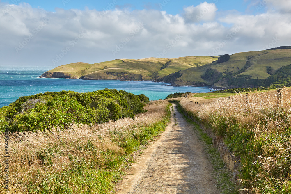 Beautiful green landscape in New Zealand Beautiful green landscape in New Zealand