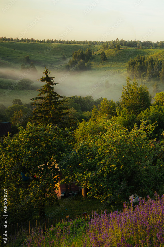 Fototapeta premium morning on the river