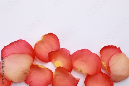Beautiful red petals on white background, top view. Space for text