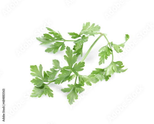 Sprig of fresh green parsley isolated on white