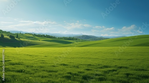 landscape with green grass and sky