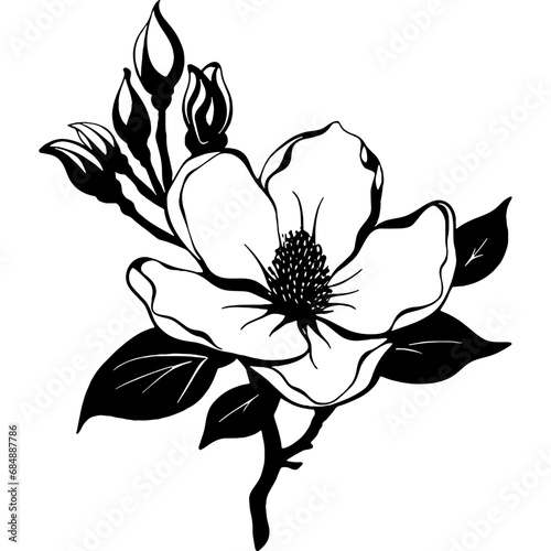 Magnolia flower vector design, Floral arrangement black silhouette, Magnolia SVG, blooming flowers printable images, Sublimation designs
